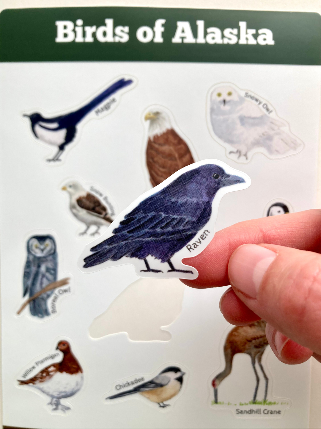 Tiny Nest Studio - Birds of Alaska Sticker Sheet