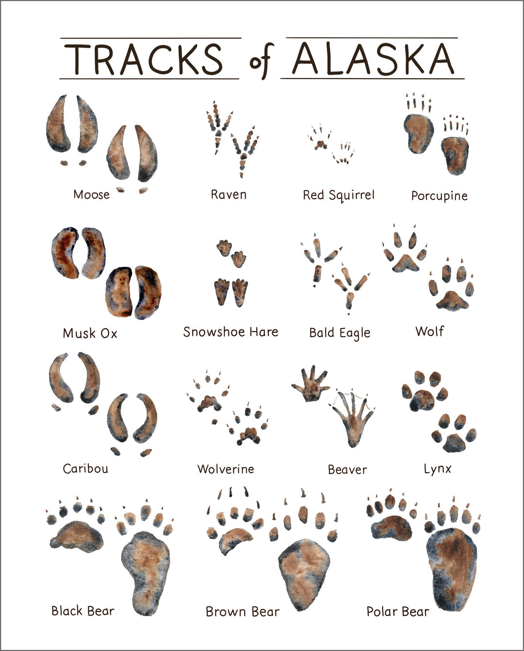 Tiny Nest Studio - Tracks of Alaska Art Print: 11 x 14 inches