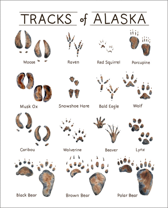 Tiny Nest Studio - Tracks of Alaska Art Print: 11 x 14 inches
