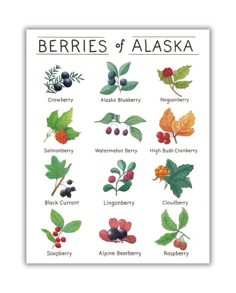 Tiny Nest Studio - Berries of Alaska Art Print: 8 x 10 inches