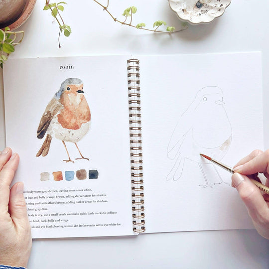 emily lex studio - Birds watercolor workbook
