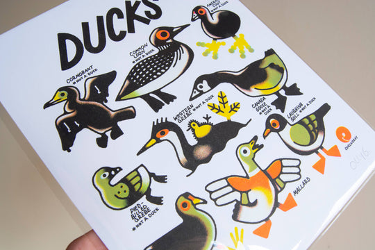 Curlworks - Ducks (not a duck) - 8x10" Risograph Print