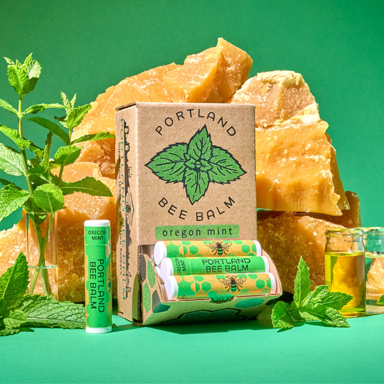 Portland Bee Balm - Oregon Mint Beeswax Lip Balm Display – Refreshing 24-Count