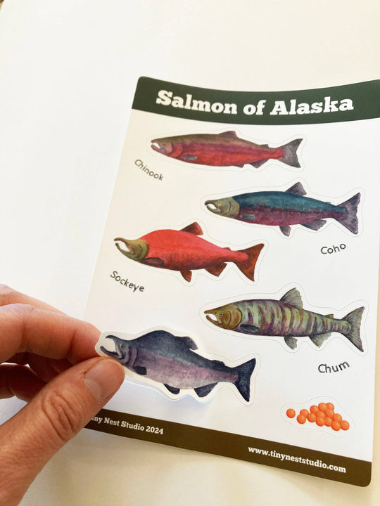 Tiny Nest Studio - Salmon of Alaska Sticker Sheet