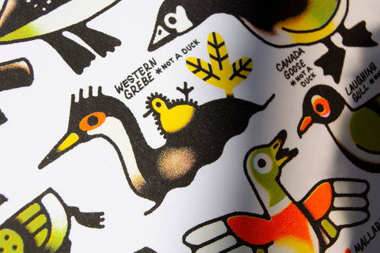 Curlworks - Ducks (not a duck) - 8x10" Risograph Print