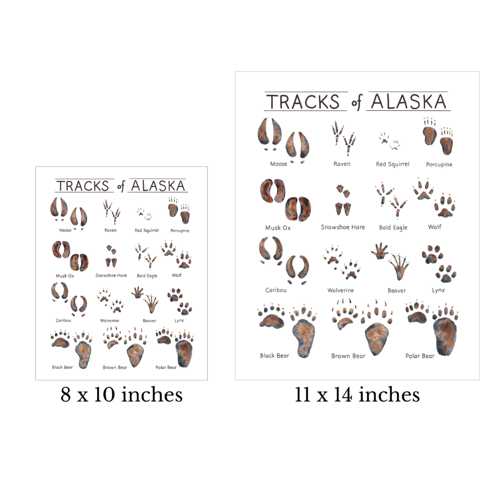Tiny Nest Studio - Tracks of Alaska Art Print: 11 x 14 inches