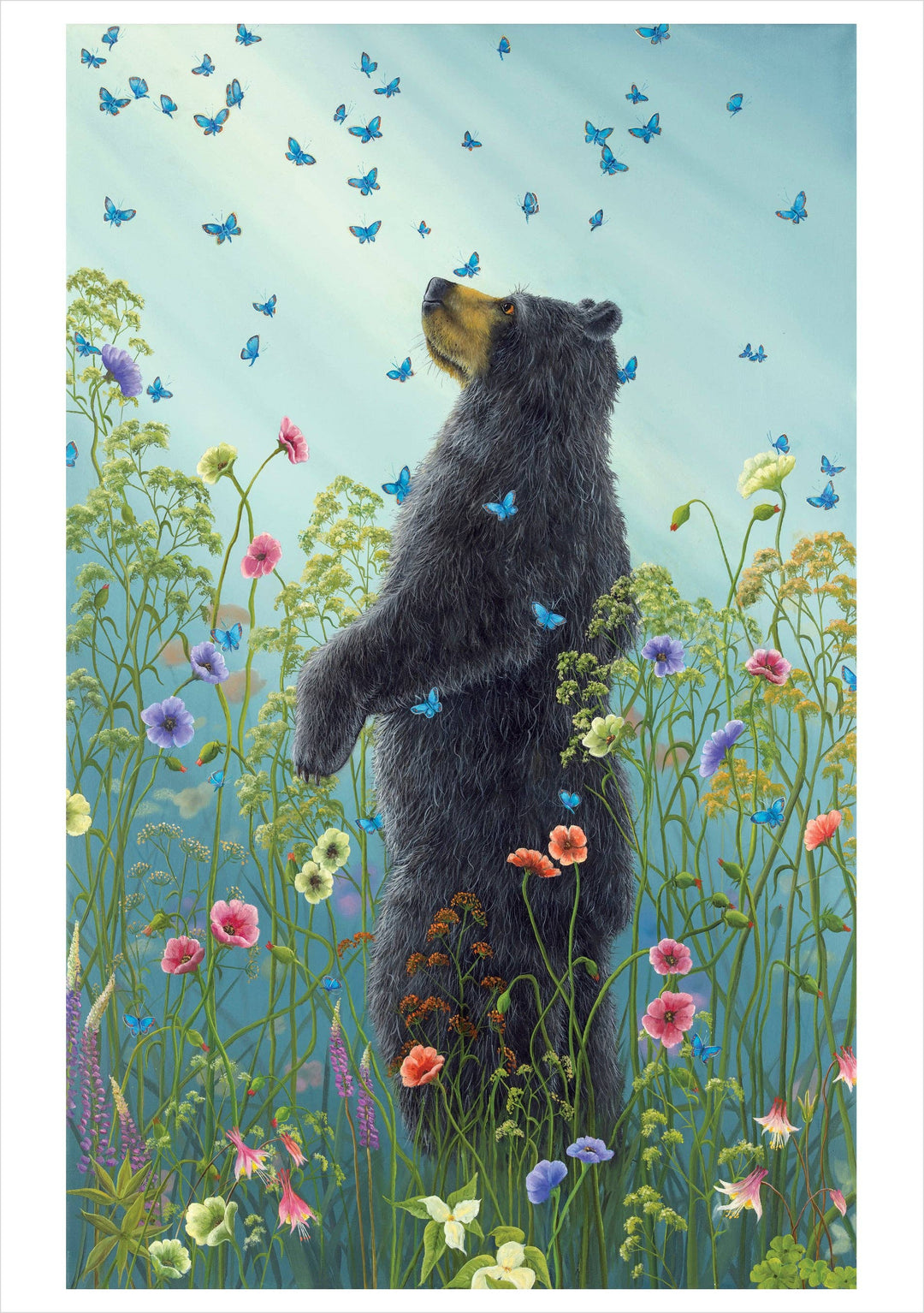 Pomegranate - Robert Bissell: Presence III Birthday Card