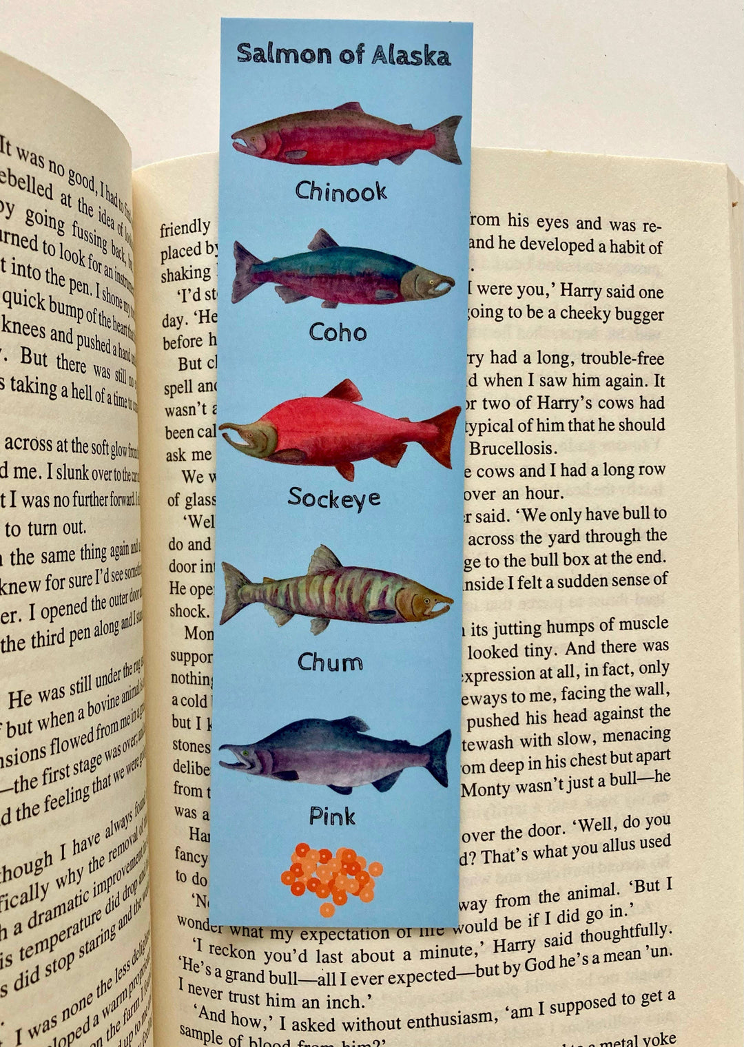 Tiny Nest Studio - Salmon of Alaska Bookmark
