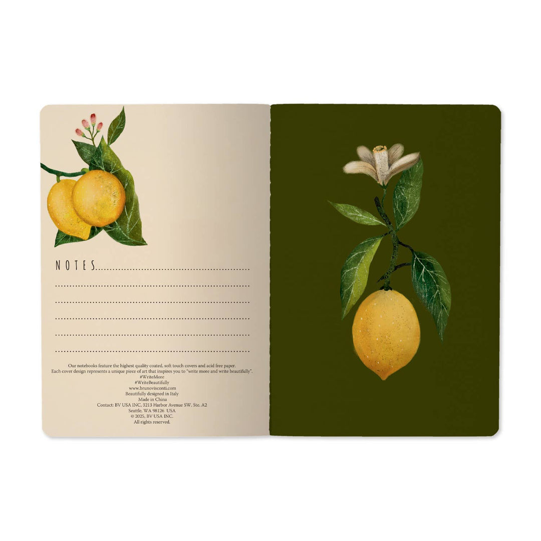 BV by Bruno Visconti - A5 Notebook - Lemons