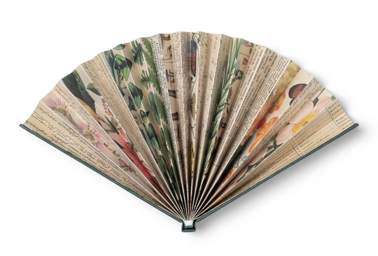 if USA - Book Fan: Around The World