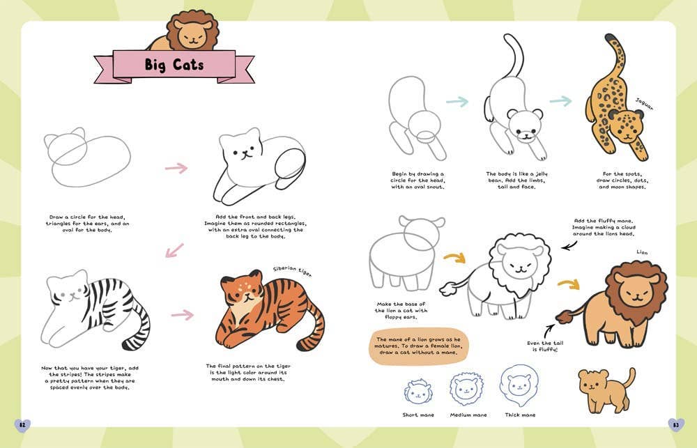 Hachette Book Group - How to Draw the Cutest Stuff - Deluxe! by Angela Nguyen
