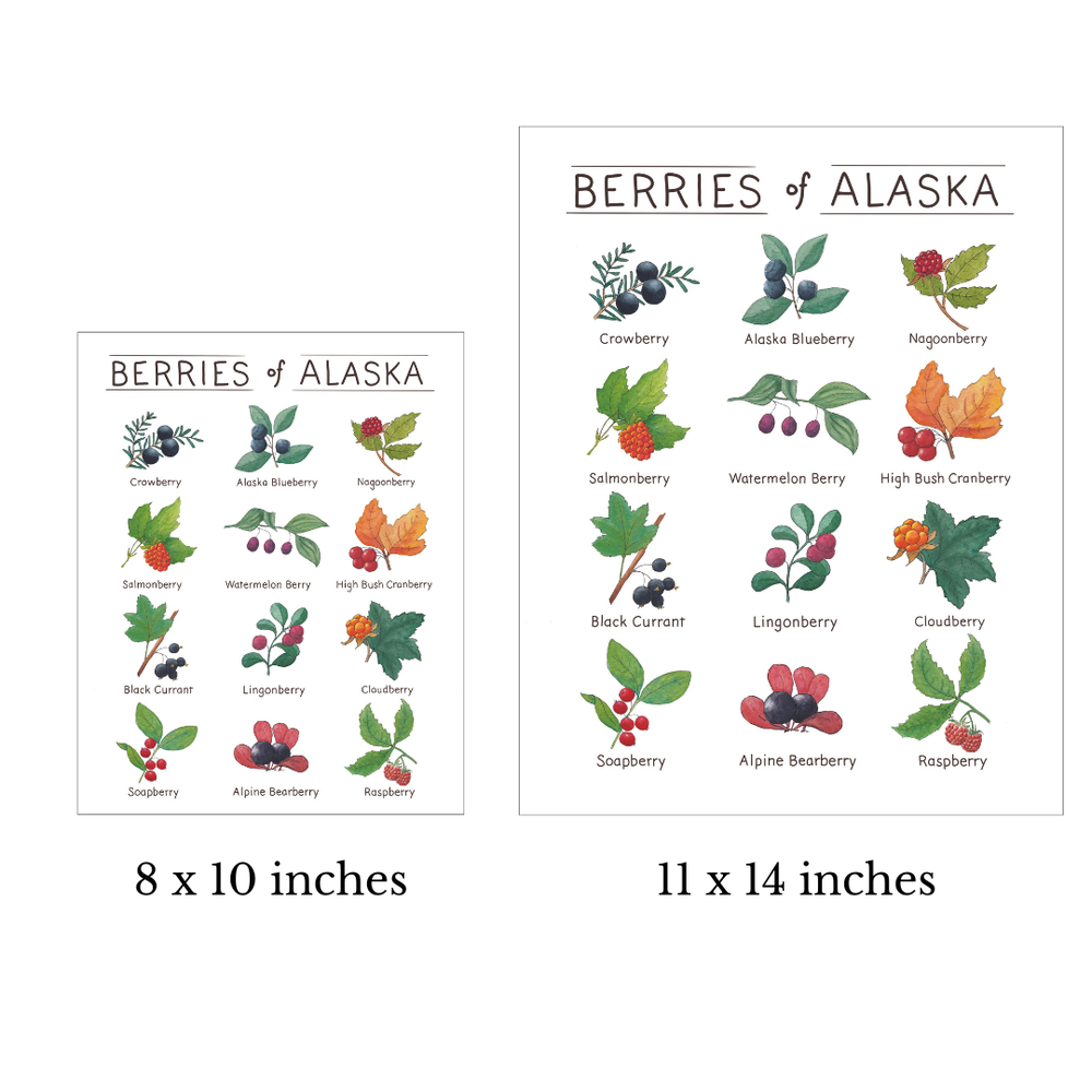 Tiny Nest Studio - Berries of Alaska Art Print: 8 x 10 inches