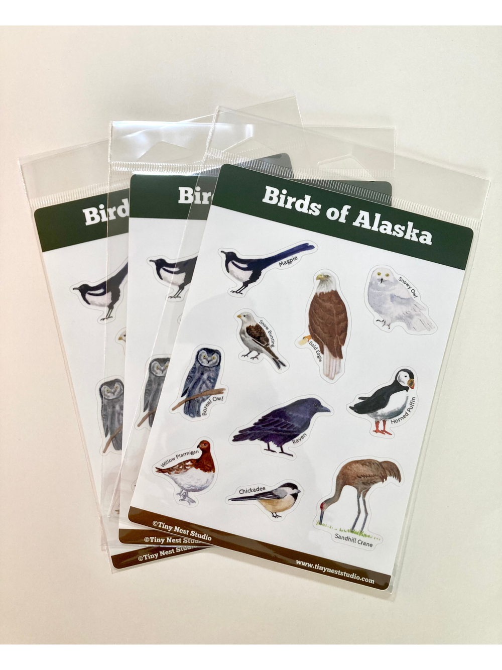 Tiny Nest Studio - Birds of Alaska Sticker Sheet
