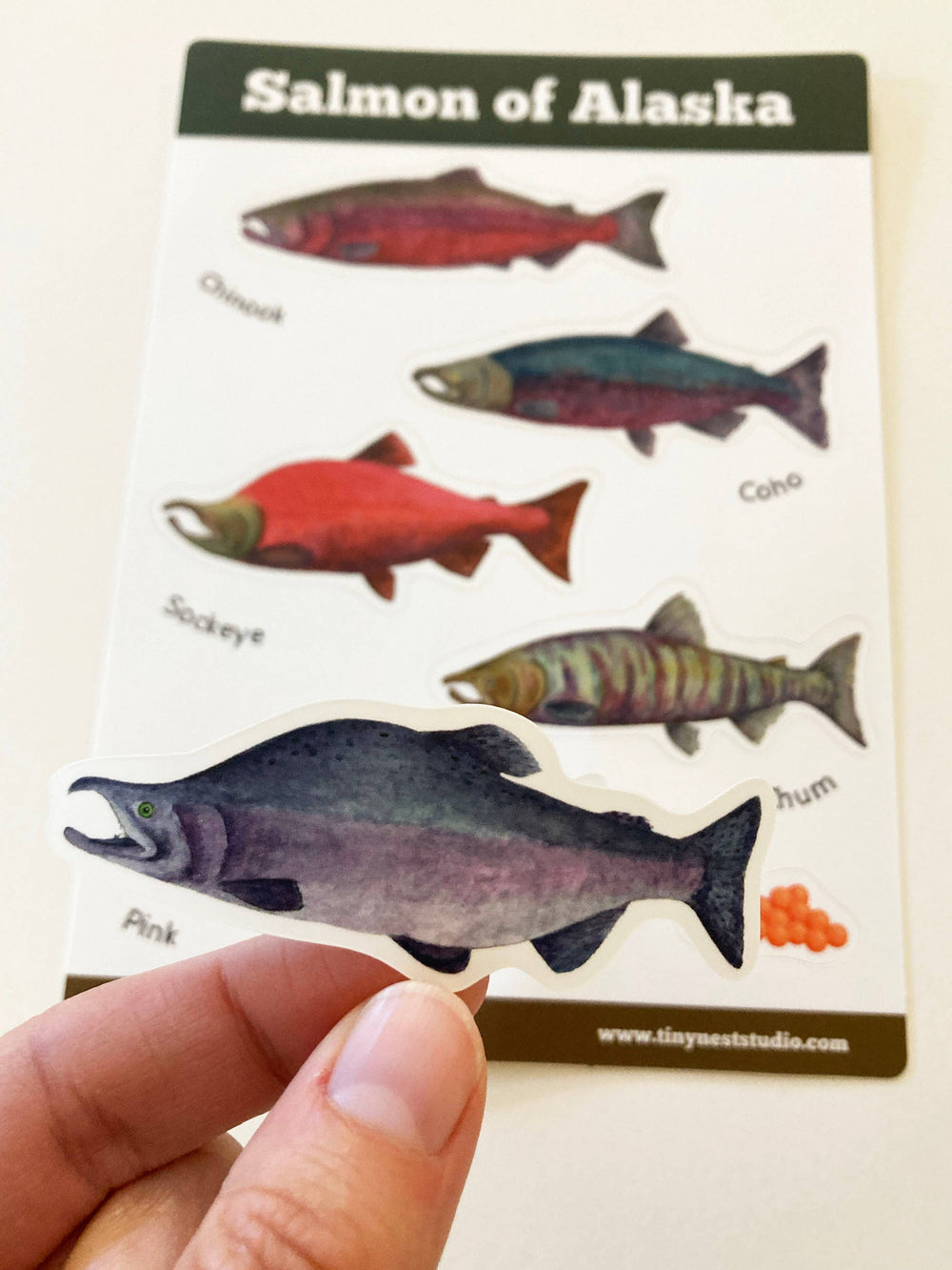 Tiny Nest Studio - Salmon of Alaska Sticker Sheet