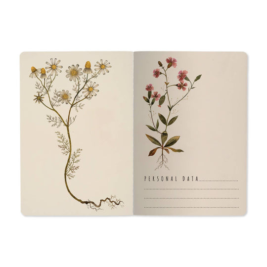BV by Bruno Visconti - A5 Notebook - Violets and Greens 