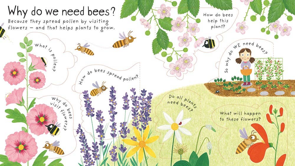 HarperCollins - First Questions and Answers: Why do we need bees?