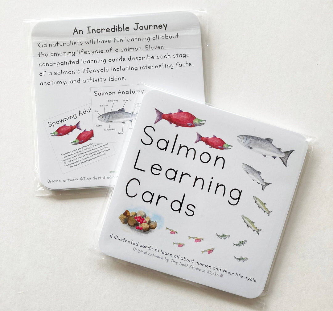 Tiny Nest Studio - Salmon Life Cycle Learning Cards