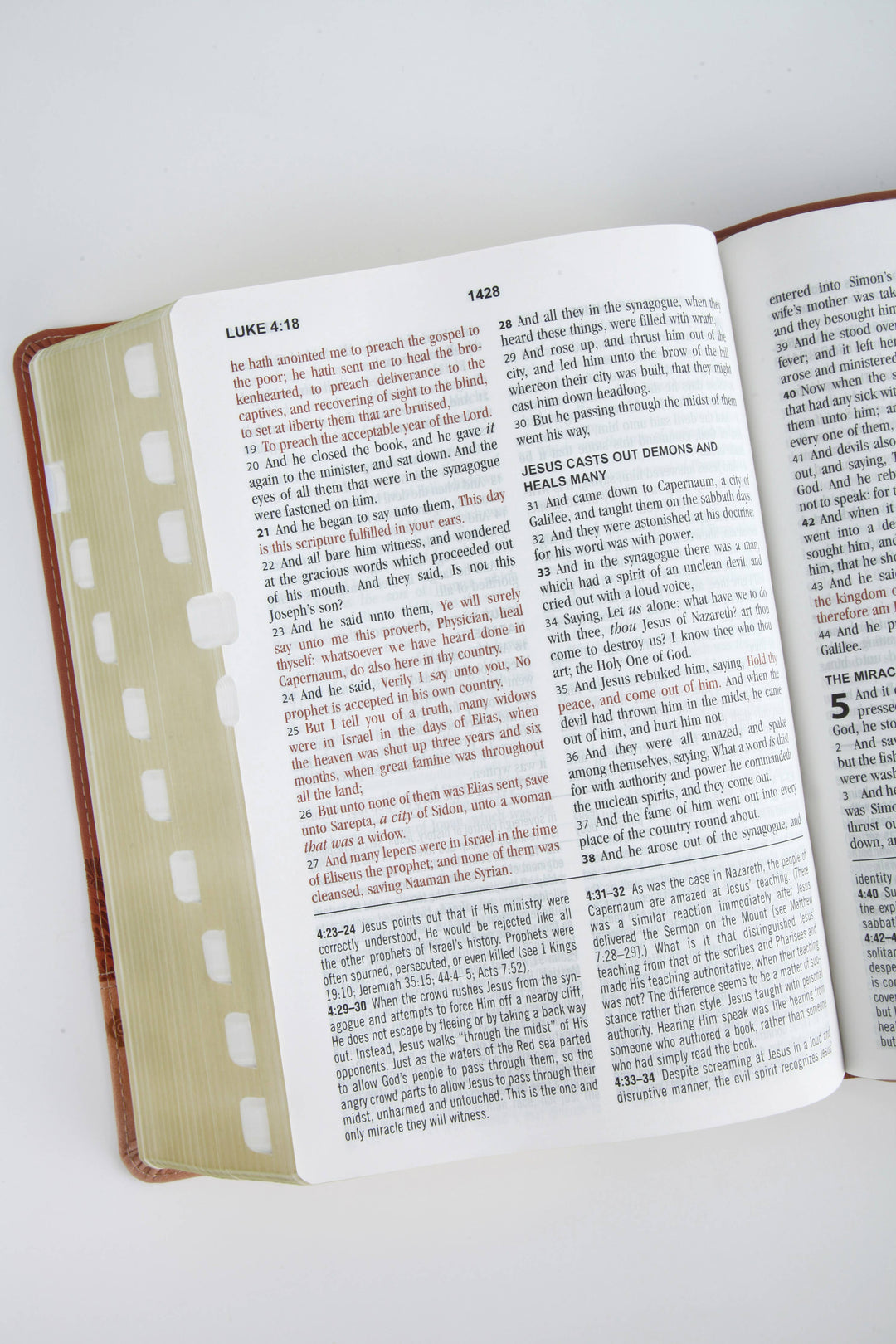 Barbour Publishing, Inc. - The KJV Study Bible, Large Print (Indexed) [Rose & Chestnut]