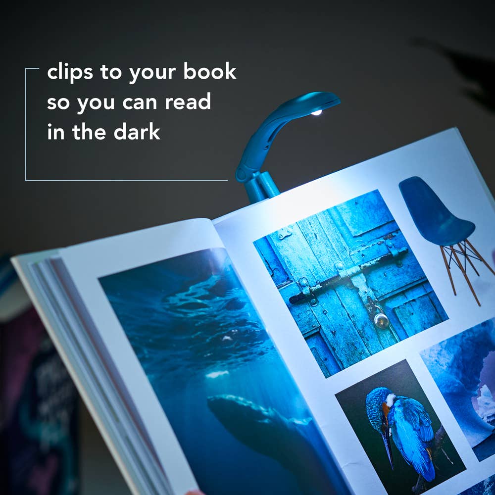 if USA - The Really Tiny Book Light: Slate