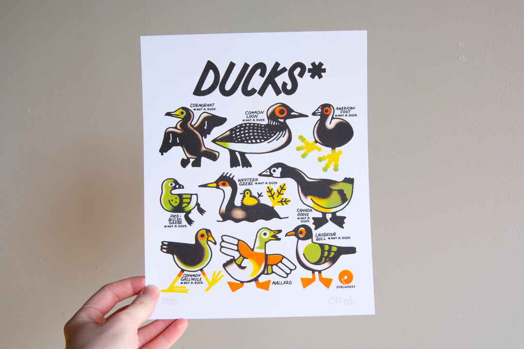 Curlworks - Ducks (not a duck) - 8x10" Risograph Print