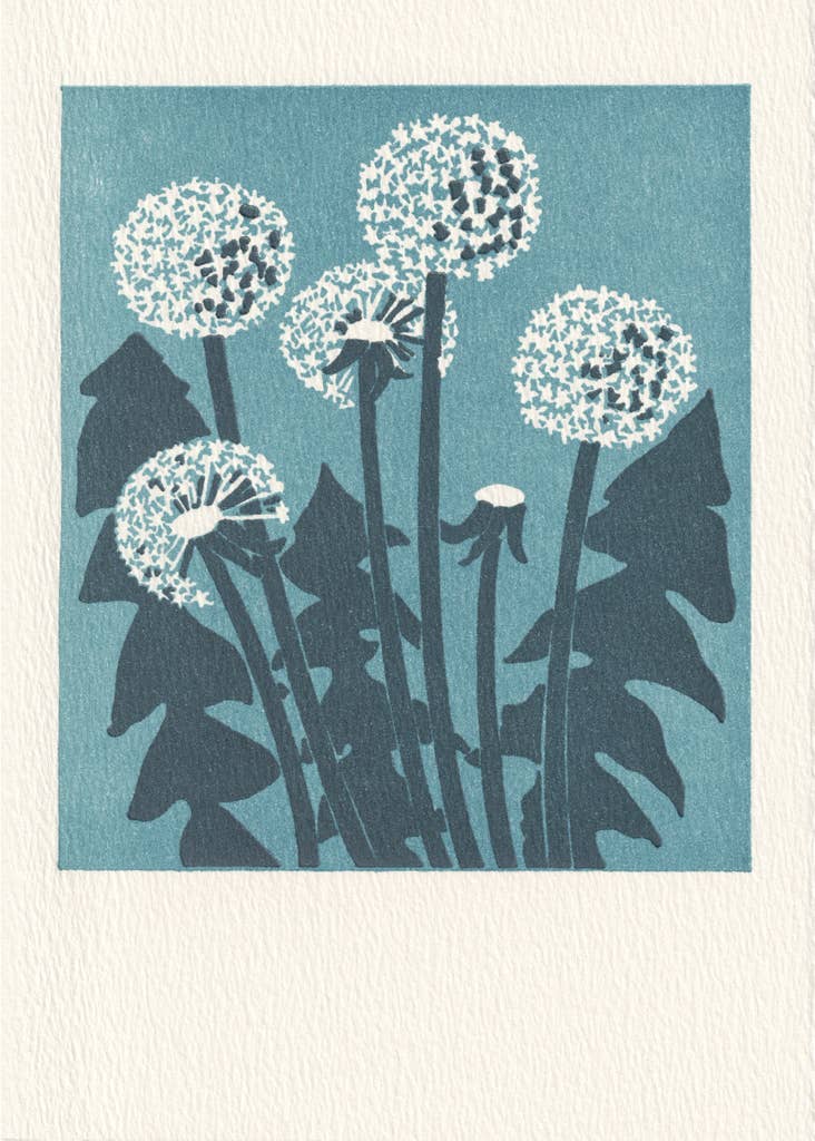 Saturn Press - Dandelions: Unsleeved