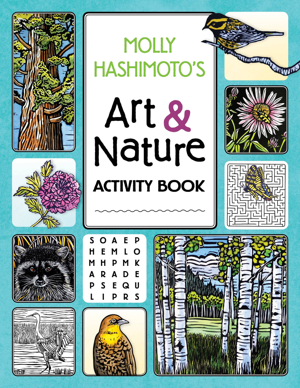 Pomegranate - Molly Hashimoto’s Art & Nature Activity Book