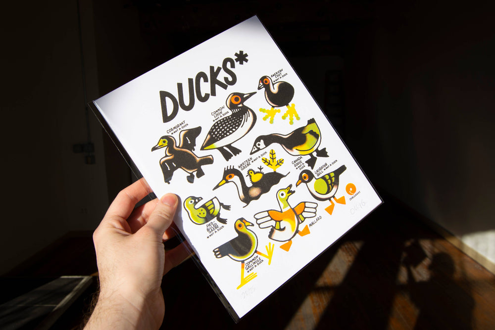 Curlworks - Ducks (not a duck) - 8x10" Risograph Print