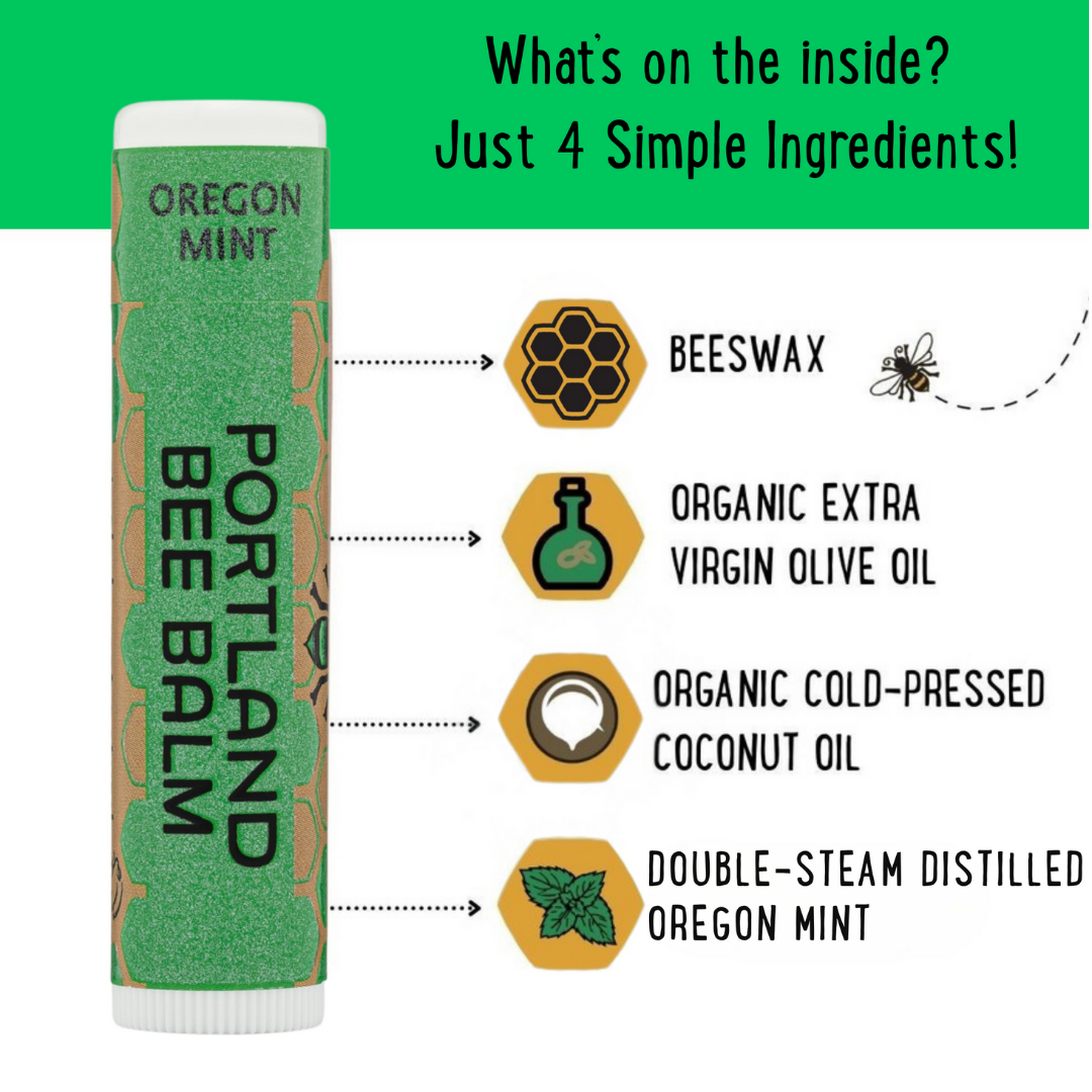 Portland Bee Balm - Oregon Mint Beeswax Lip Balm Display – Refreshing 24-Count