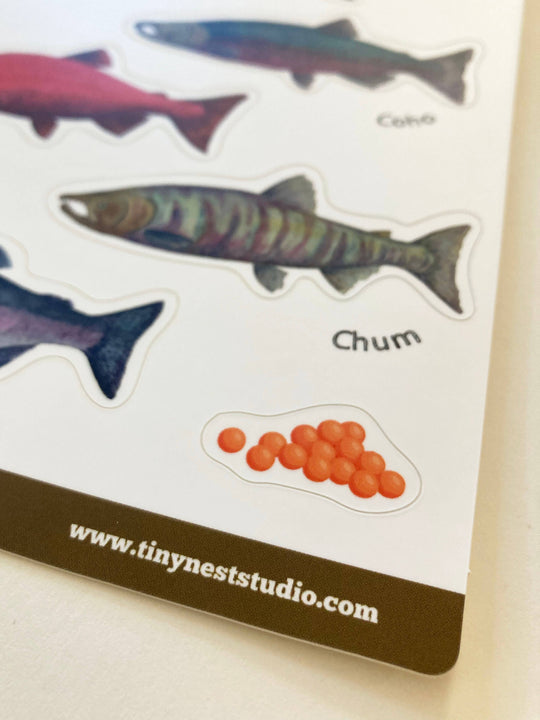 Tiny Nest Studio - Salmon of Alaska Sticker Sheet