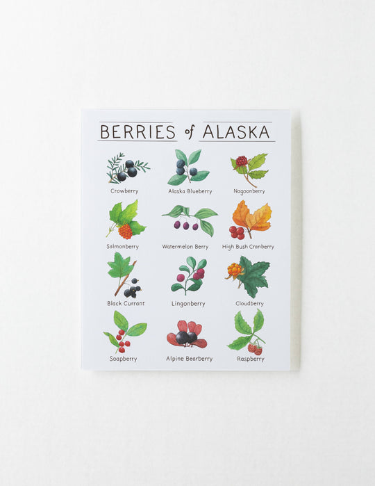 Tiny Nest Studio - Berries of Alaska Art Print: 8 x 10 inches