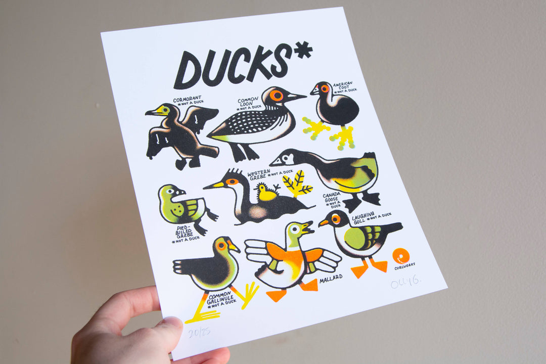 Curlworks - Ducks (not a duck) - 8x10" Risograph Print