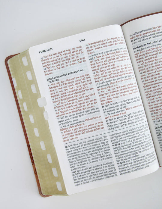 Barbour Publishing, Inc. - The KJV Study Bible, Large Print (Indexed) [Rose & Chestnut]