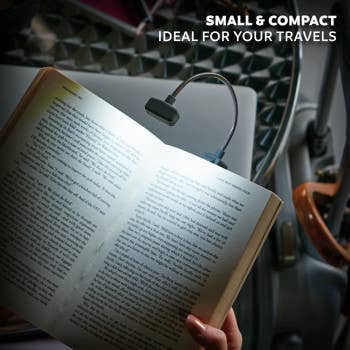 if USA - The Really Compact Travel Book Light: Fern