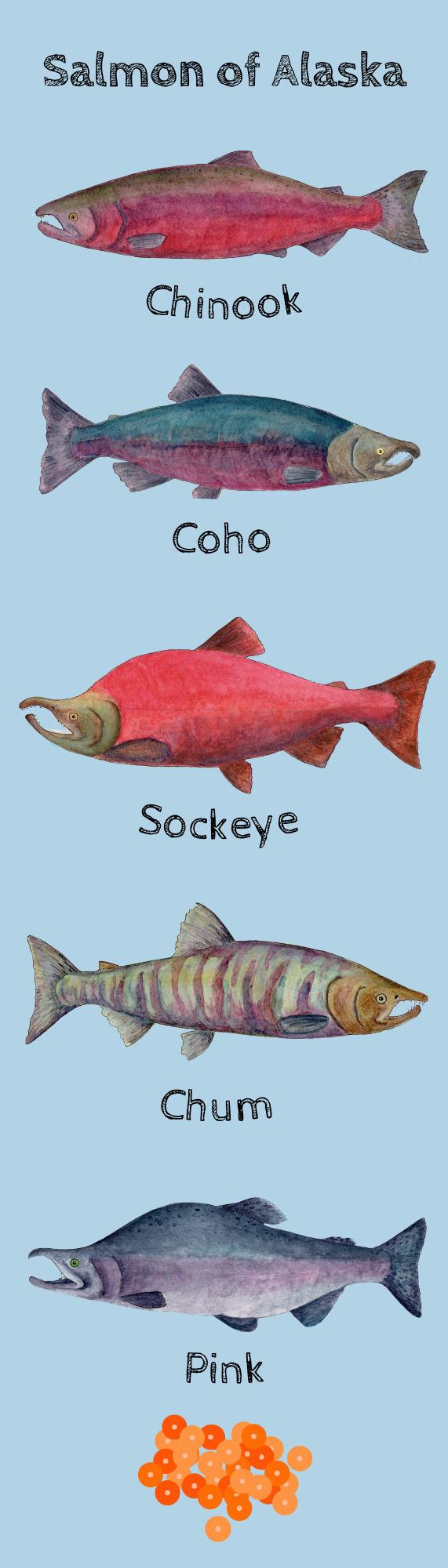 Tiny Nest Studio - Salmon of Alaska Bookmark