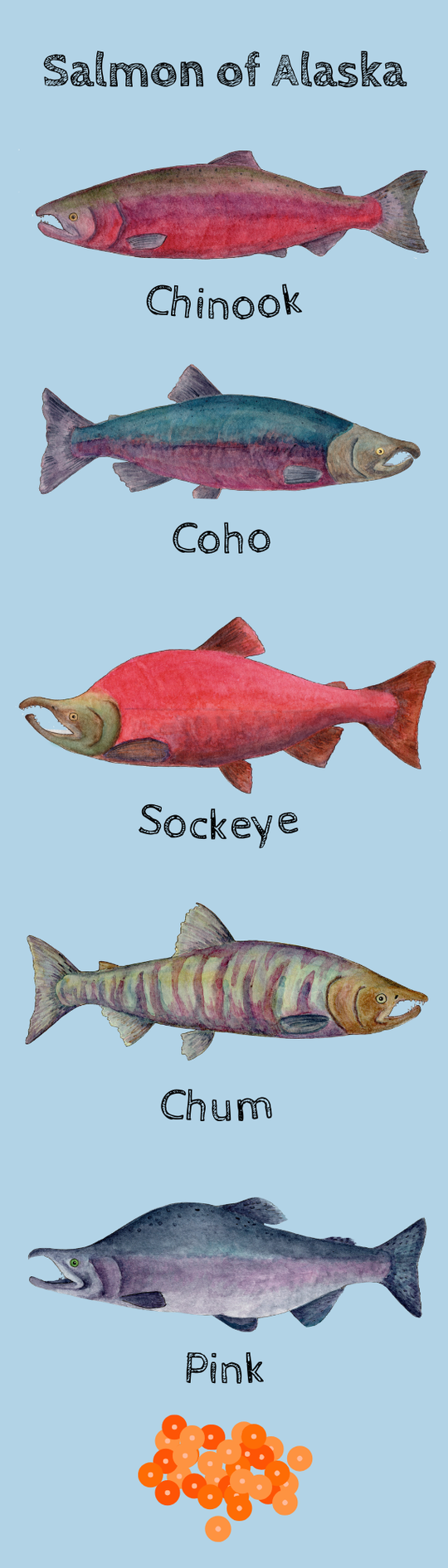 Tiny Nest Studio - Salmon of Alaska Bookmark