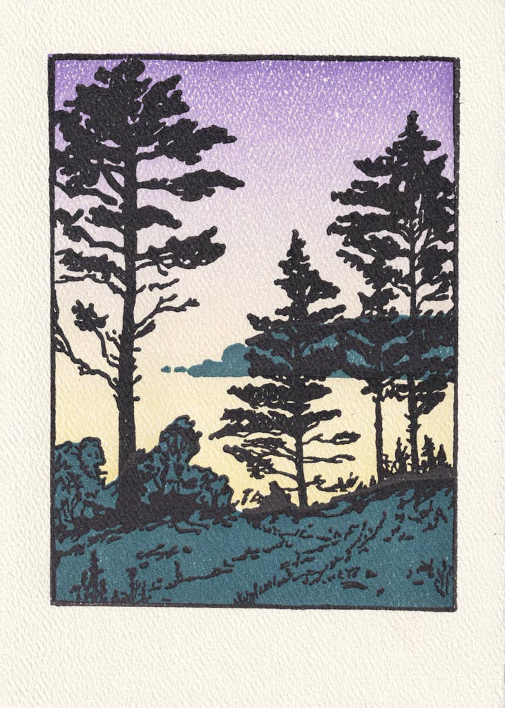Saturn Press - Twilight Sheepscot River: Unsleeved