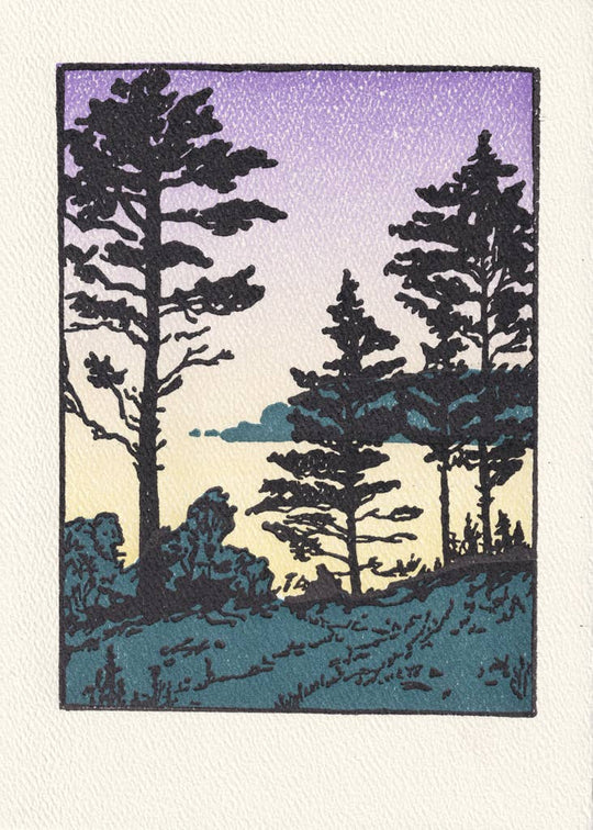 Saturn Press - Twilight Sheepscot River: Unsleeved