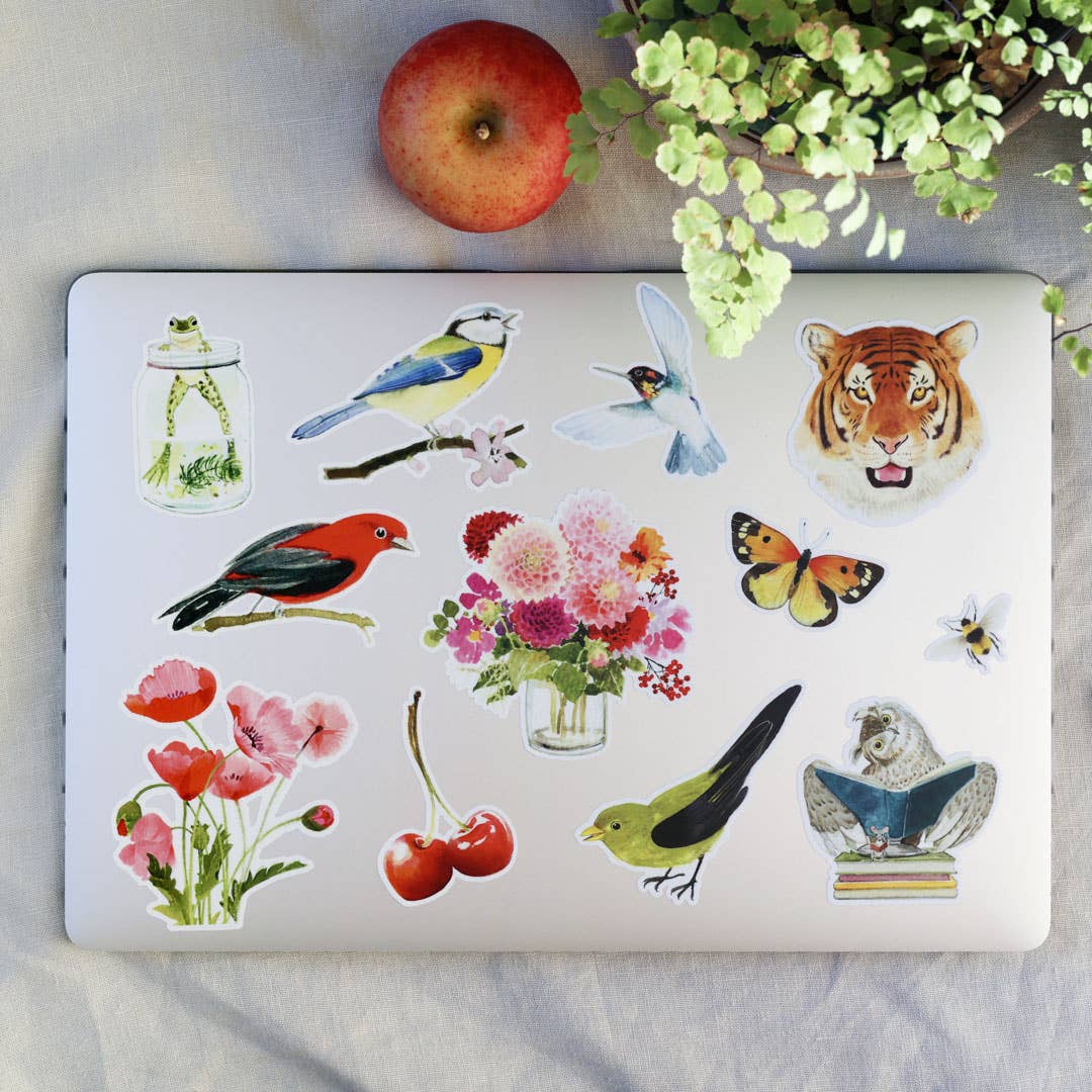 Felix Doolittle - Autumn Dahlias - Vinyl Stickers - Flowers: Autumn Dahlias