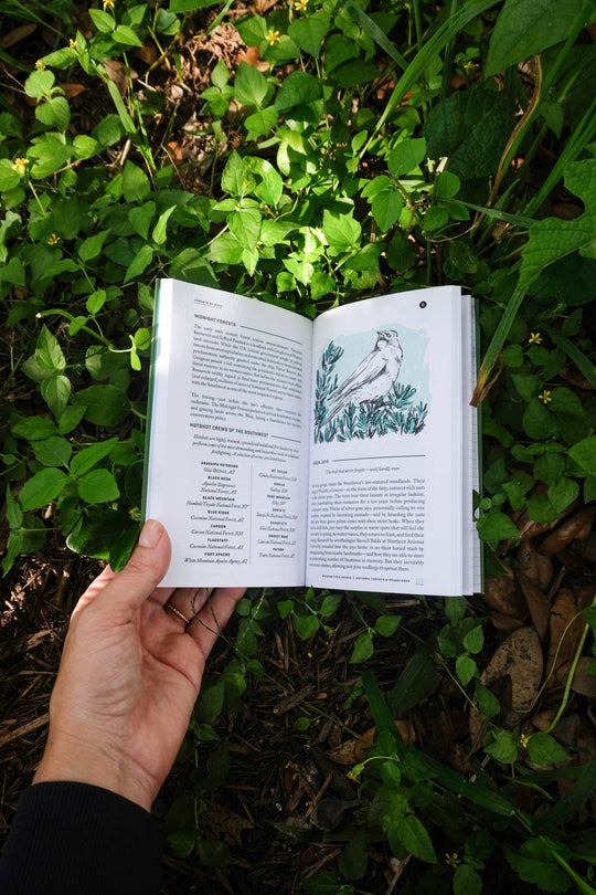 Wildsam Field Guides - National Forests and Grasslands Guide Book 