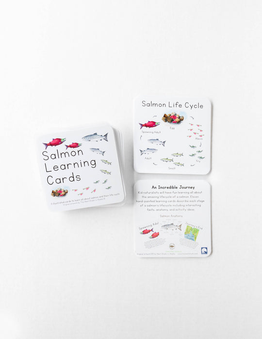 Tiny Nest Studio - Salmon Life Cycle Learning Cards